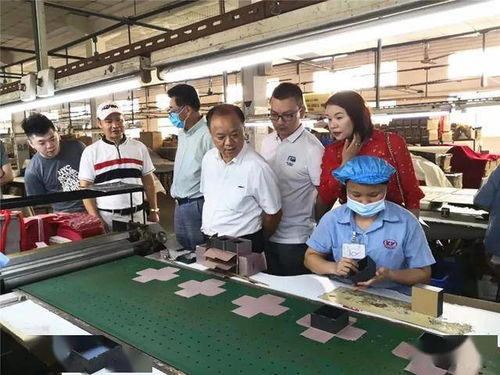 肇慶市僑聯深入僑青企業(yè)走訪調研